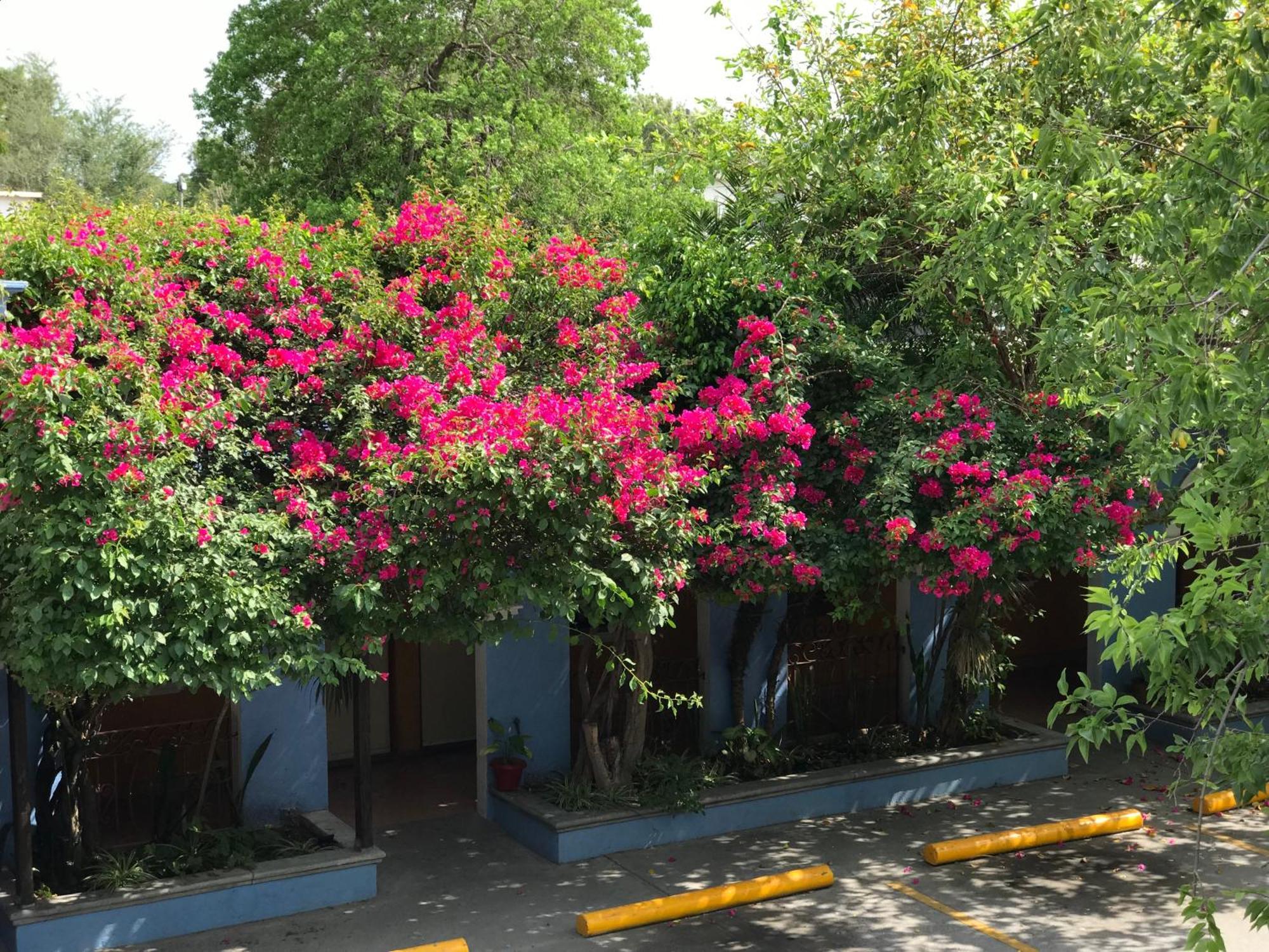 Hotel Hacienda Del Viejo Matamoros  Esterno foto