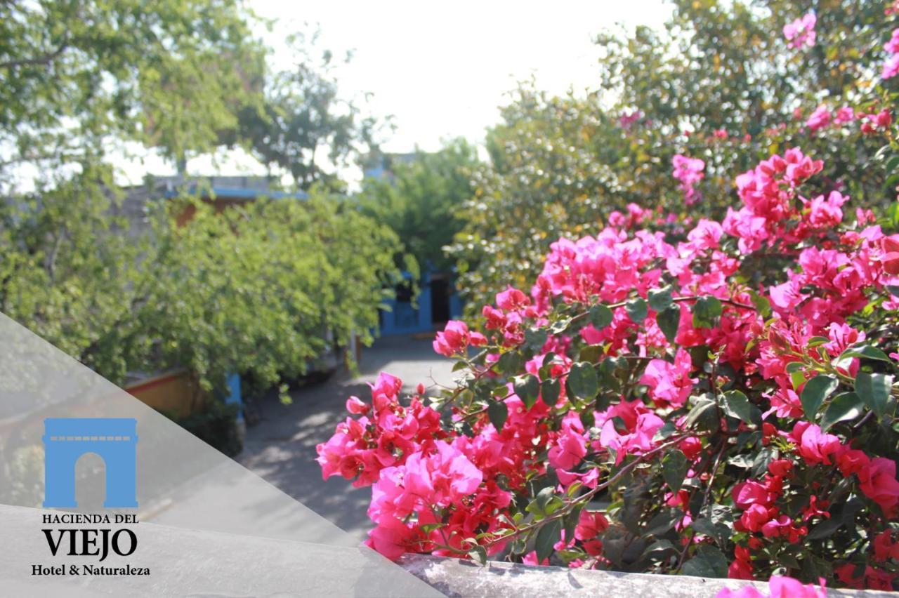 Hotel Hacienda Del Viejo Matamoros  Esterno foto