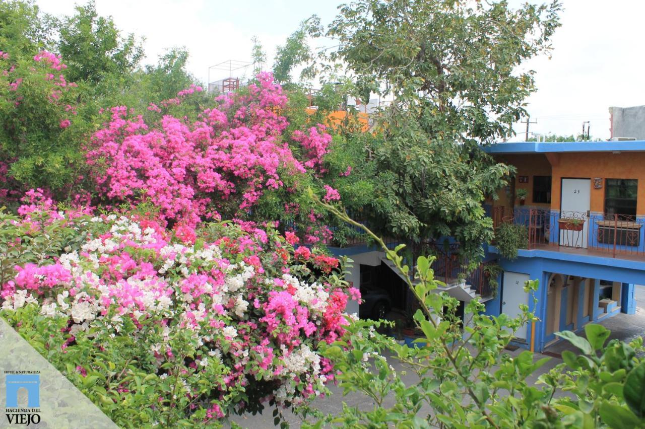 Hotel Hacienda Del Viejo Matamoros  Esterno foto